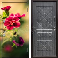 Металлическая дверь Фотопечать №157